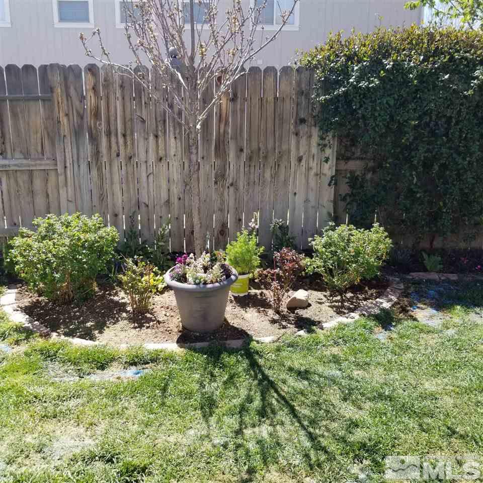 8904 Wynne Street Reno, NV 89506 - Photo 5 of 7 a view of a backyard with plants and flowers
