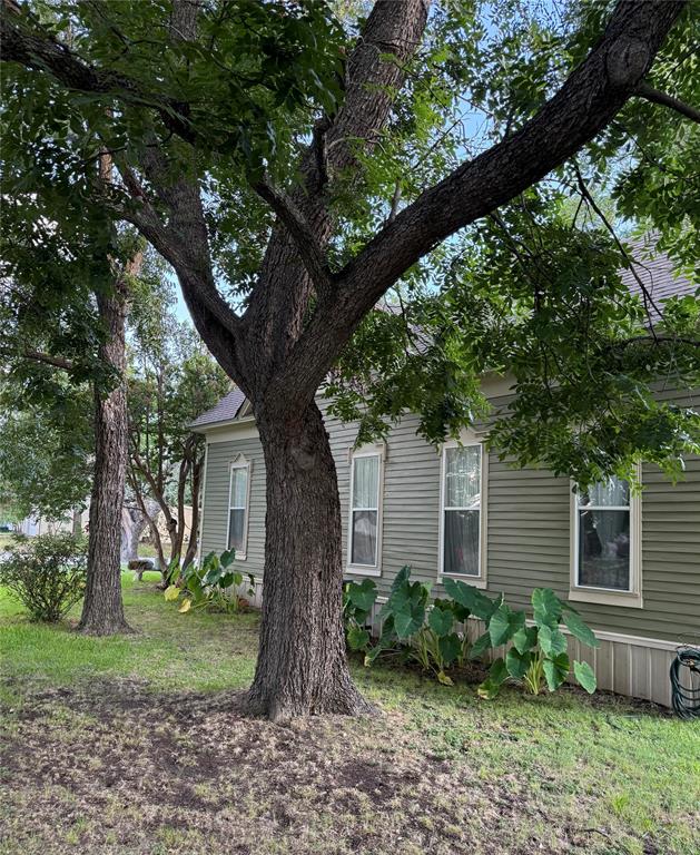 300 Northwest 3rd Street Hubbard, TX 76648 - Photo 4 of 25 Mature trees providing ample shade