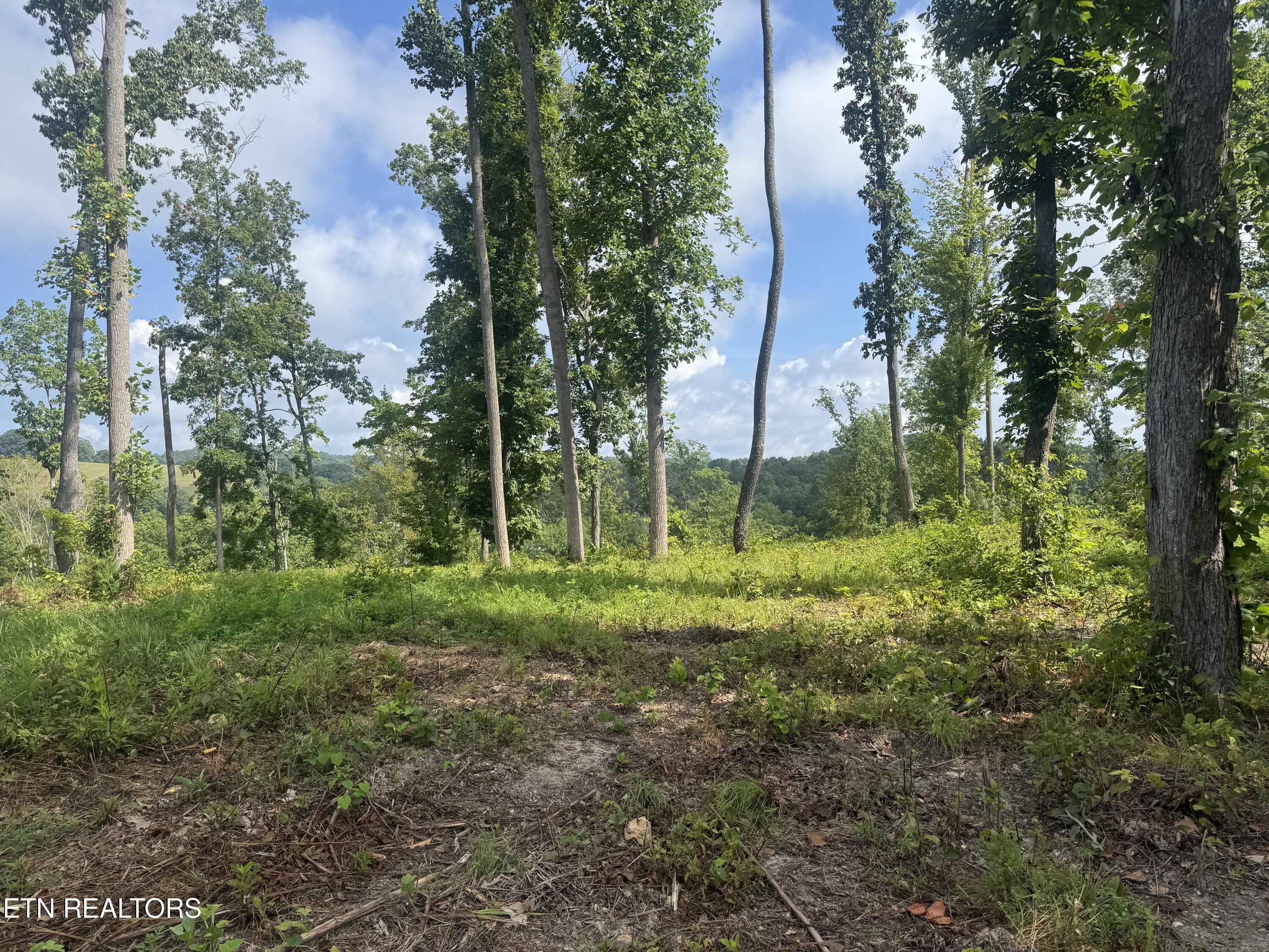 2 Mill Creek Road Andersonville, TN 37705 - Photo 18 of 29 IMG_0940