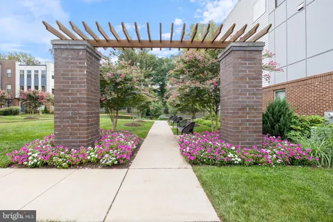 a view of bunch of flowers and buildings in background