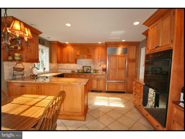 594 Contention Lane Berwyn, PA 19312 - Photo 8 of 24 Kitchen