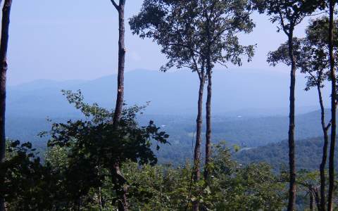 Lot 1 Gaults Gulch Road Talking Rock, GA 30175 - Photo 1 of 1 Main View