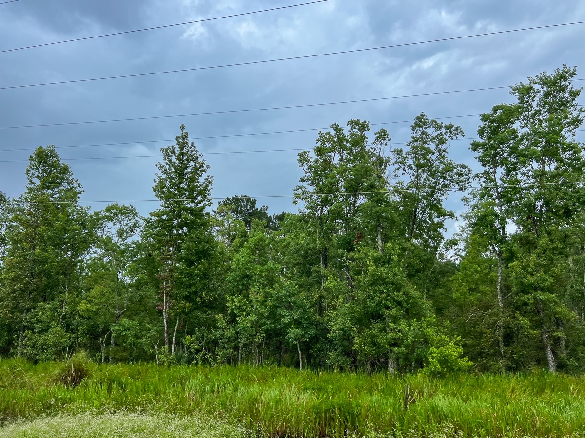 6 Fm 770 Liberty, TX 77575 - Photo 11 of 23