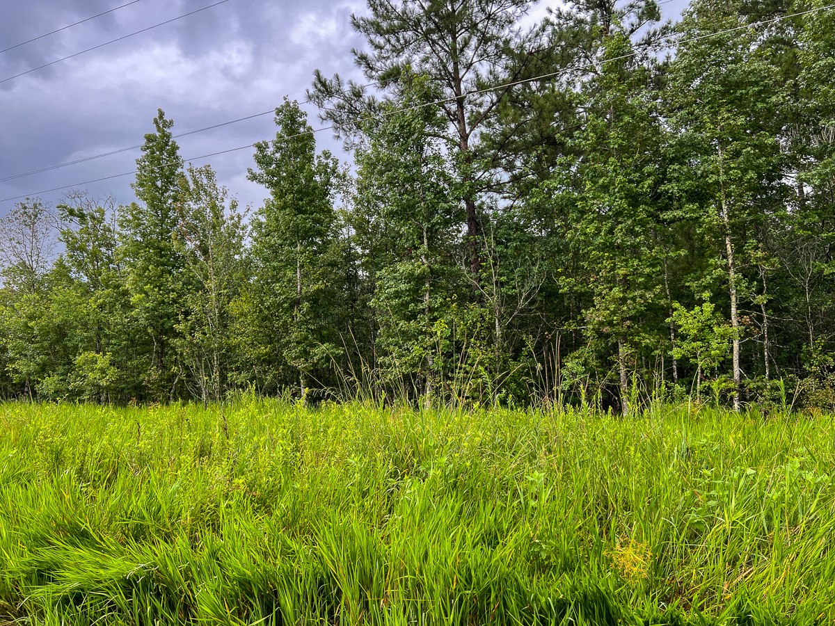 6 Fm 770 Liberty, TX 77575 - Photo 13 of 23