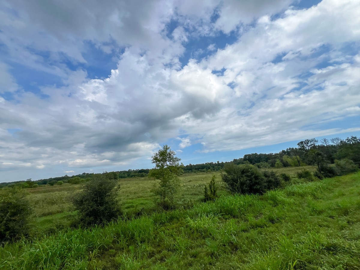 6 Fm 770 Liberty, TX 77575 - Photo 16 of 23