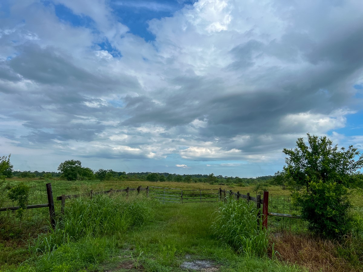 6 Fm 770 Liberty, TX 77575 - Photo 18 of 23