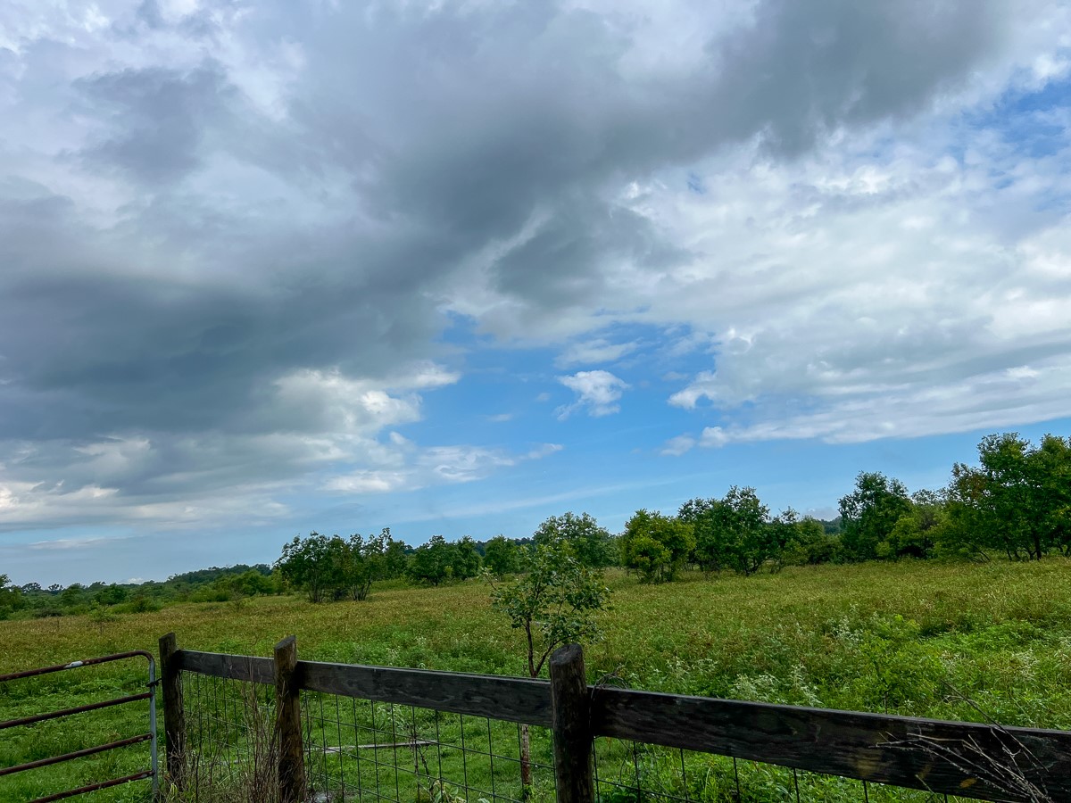 6 Fm 770 Liberty, TX 77575 - Photo 20 of 23