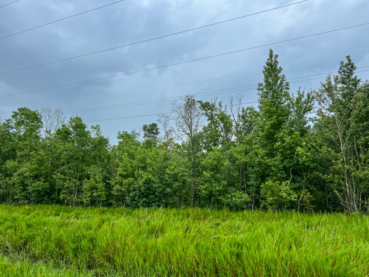 6 Fm 770 Liberty, TX 77575 - Photo 10 of 23