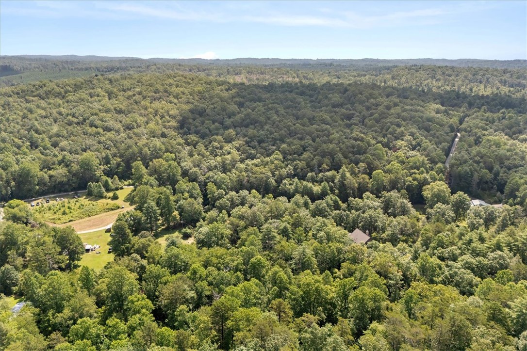 237 Hickory Ridge Mountain Rest, SC 29664 - Photo 37 of 38