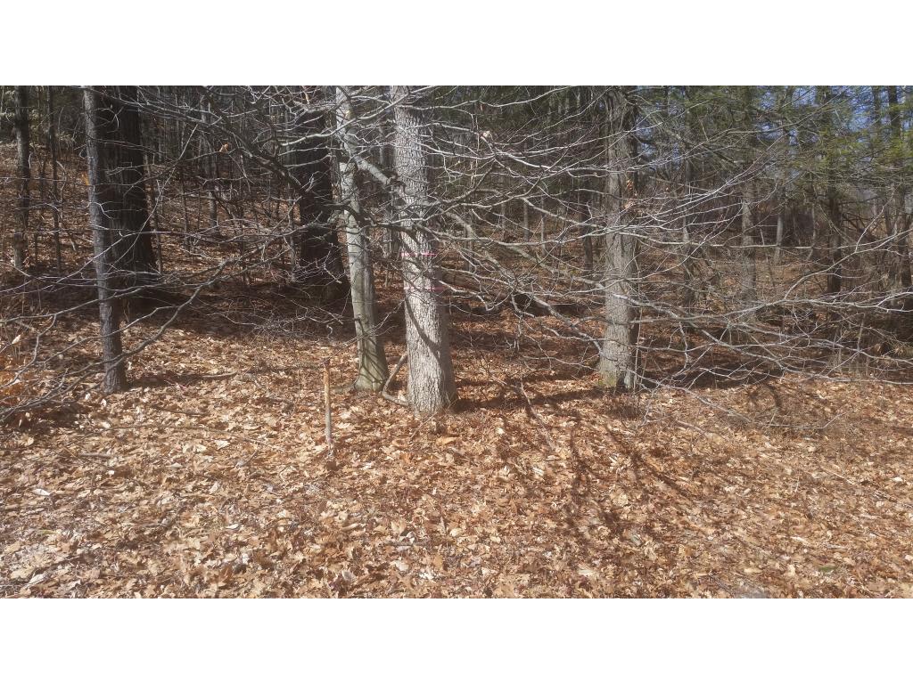 169 Manning Hill Road Winchester, NH 03470 - Photo 1 of 4