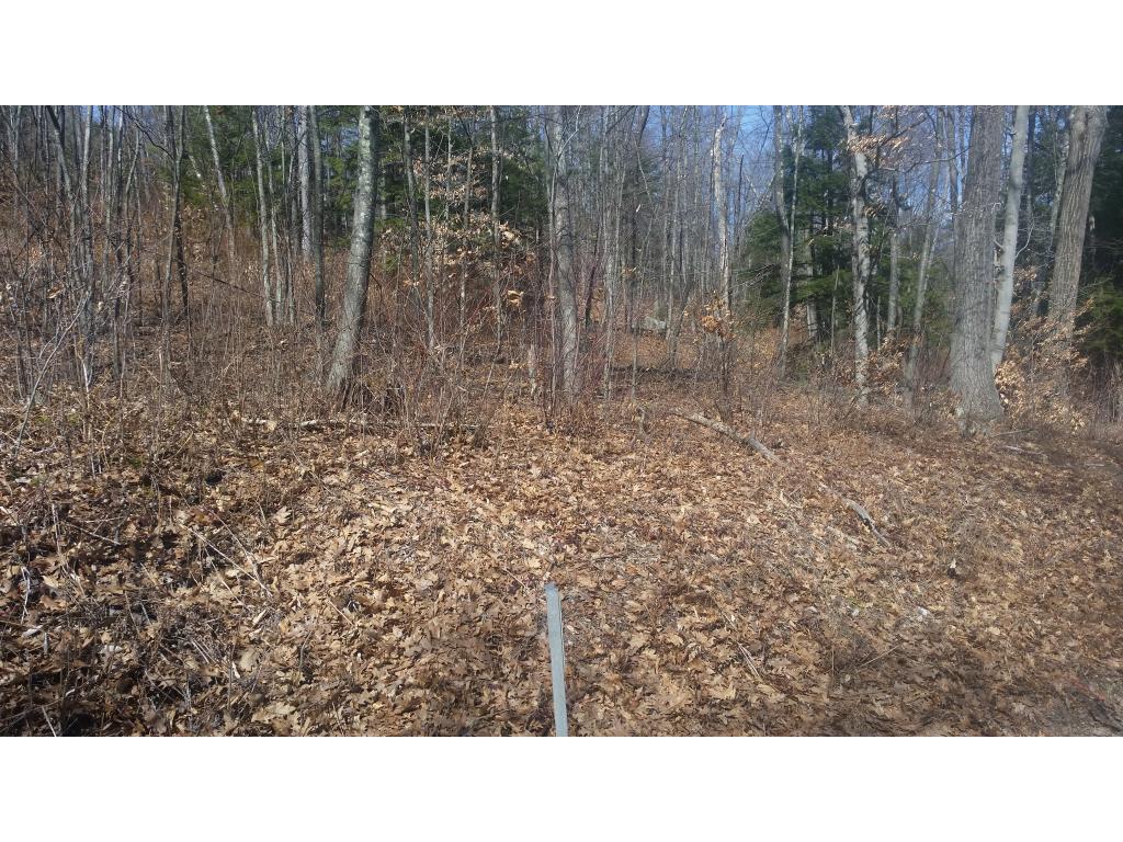 169 Manning Hill Road Winchester, NH 03470 - Photo 2 of 4