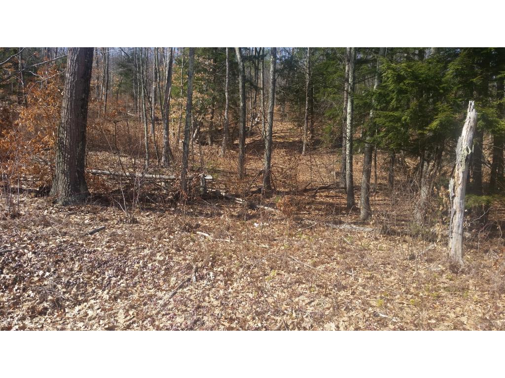 169 Manning Hill Road Winchester, NH 03470 - Photo 3 of 4