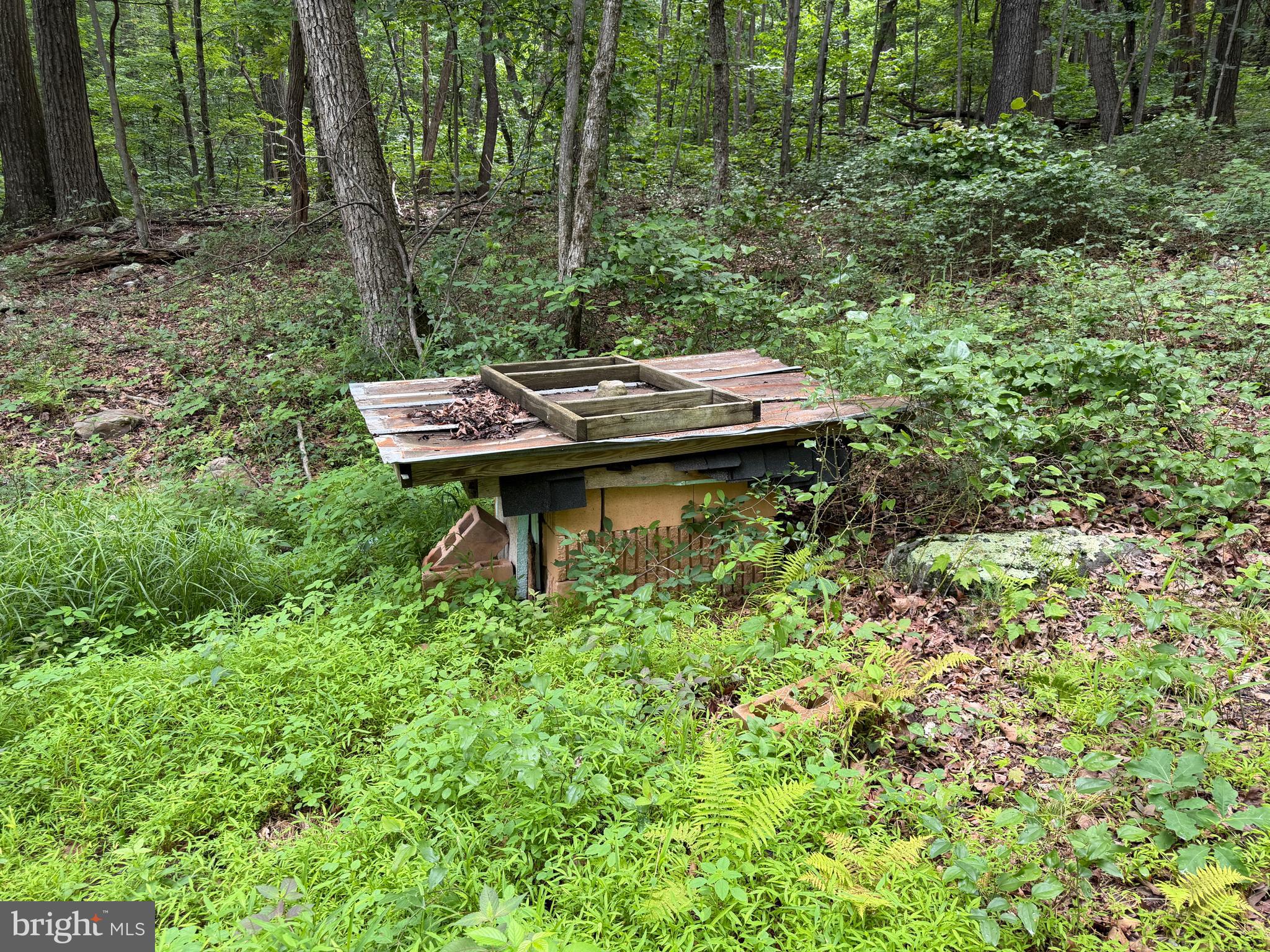 1419 Paul's Woods Road Delray, WV 26714 - Photo 40 of 105 a view of a backyard with a table and chairs