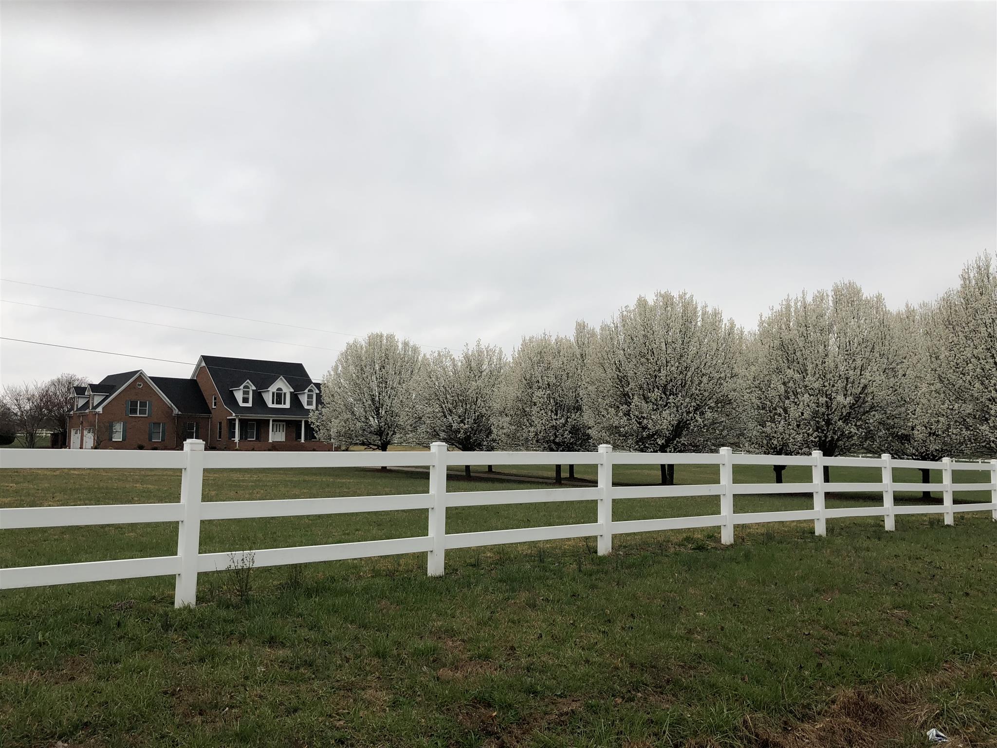 7341 Hall Road Greenbrier, TN 37073 - Photo 5 of 30 White Vinyl Fencing surrounds the home. Bradford Pear Trees line the driveway