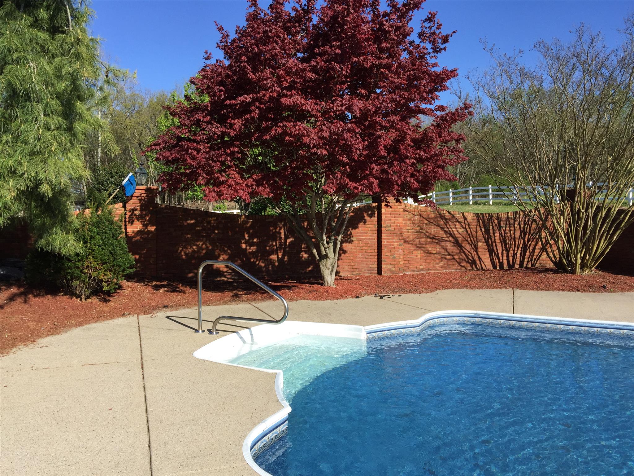 7341 Hall Road Greenbrier, TN 37073 - Photo 7 of 30 Beautiful landscaping with Brick Privacy Wall surrounding this magnificent back yard pool area