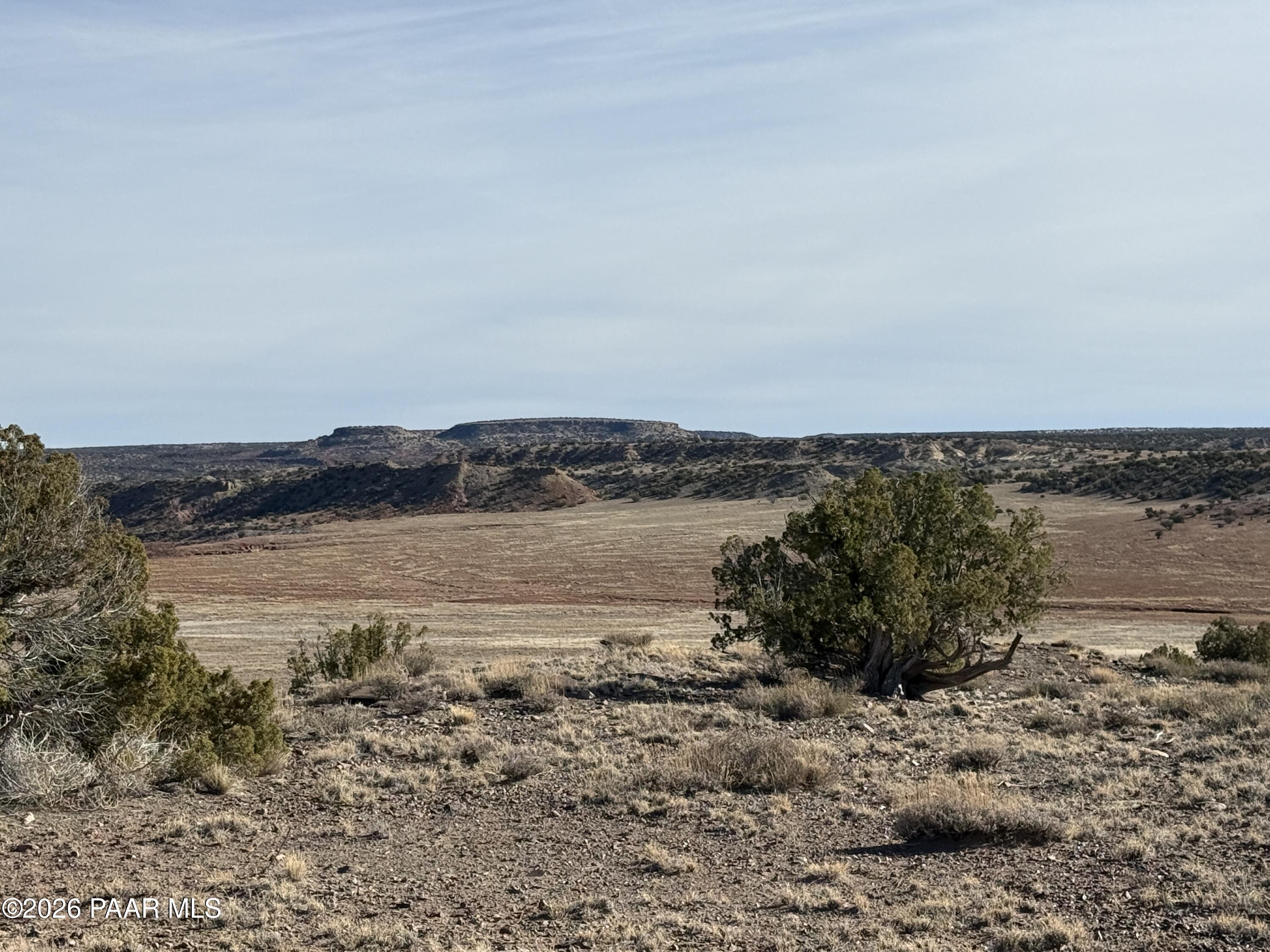 Lot 197 River Springs Ranch St. Johns, AZ 85936 - Photo 2 of 16 a view of lake view and mountain