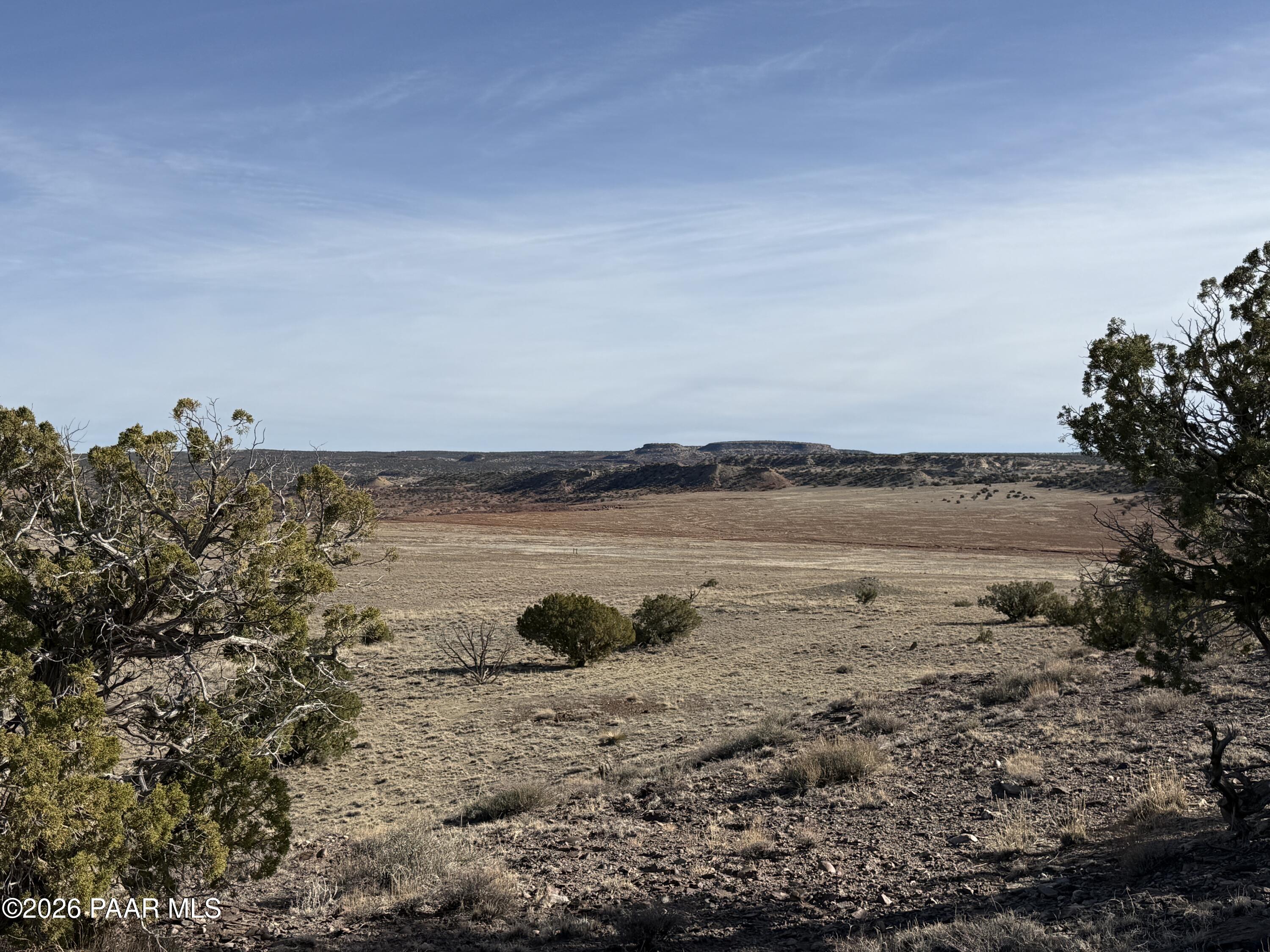 Lot 197 River Springs Ranch St. Johns, AZ 85936 - Photo 3 of 16 a view of a lake with a beach