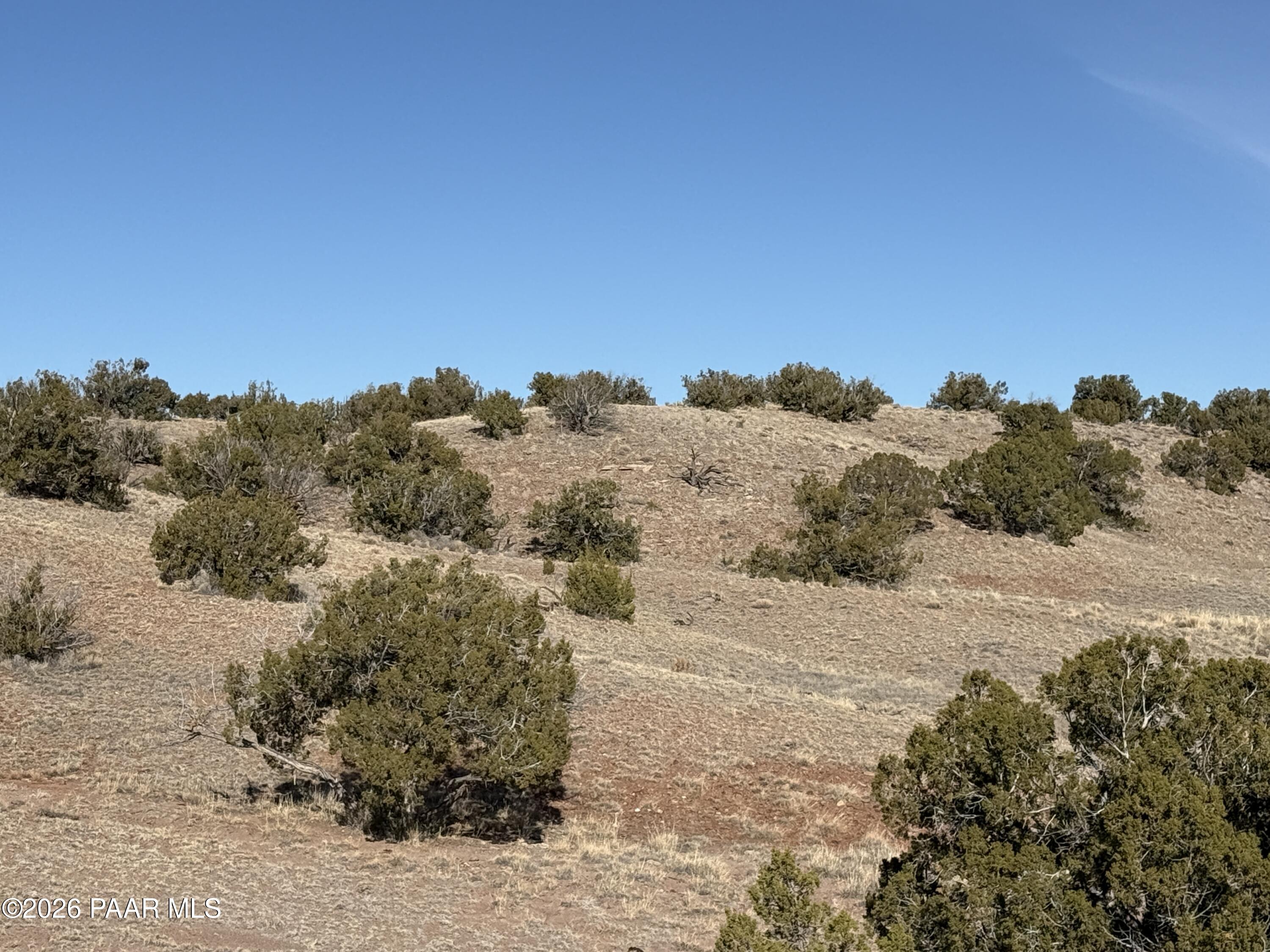 Lot 197 River Springs Ranch St. Johns, AZ 85936 - Photo 7 of 16 a view of a road with a snow in the background