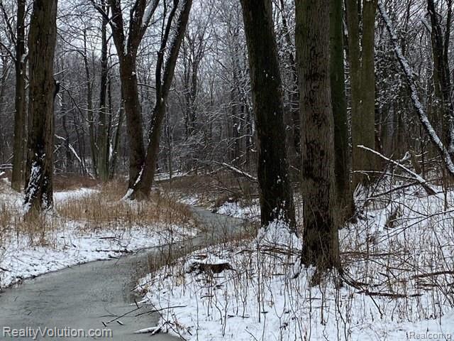 40-acres North Summers Road Imlay City, MI 48444 - Photo 6 of 8 Gallery Image 6