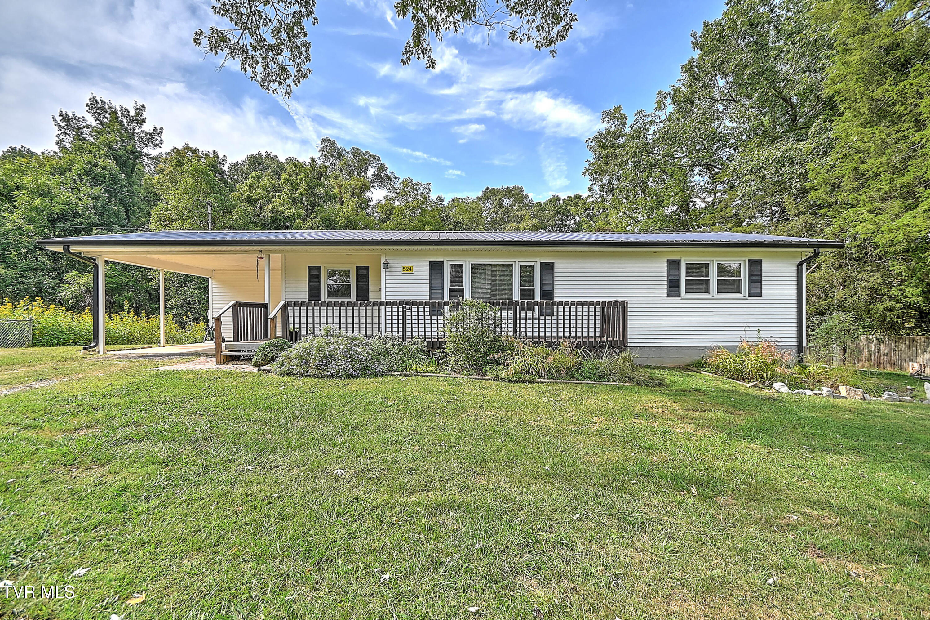 524 Boring Chapel Road Gray, TN 37615 - Photo 3 of 45 Boring Chapel Ext JR-3