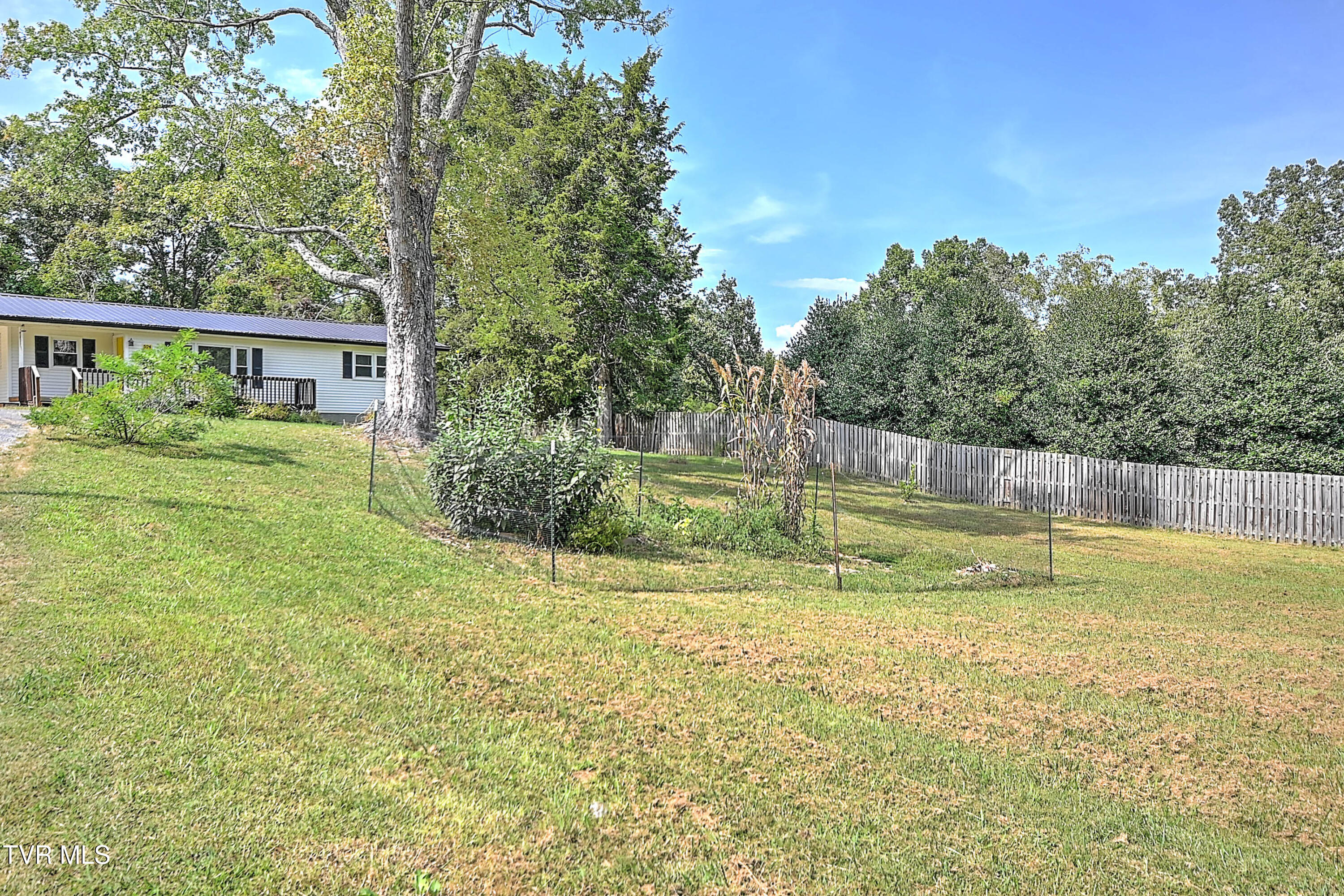 524 Boring Chapel Road Gray, TN 37615 - Photo 40 of 45 Boring Chapel Ext JR-8