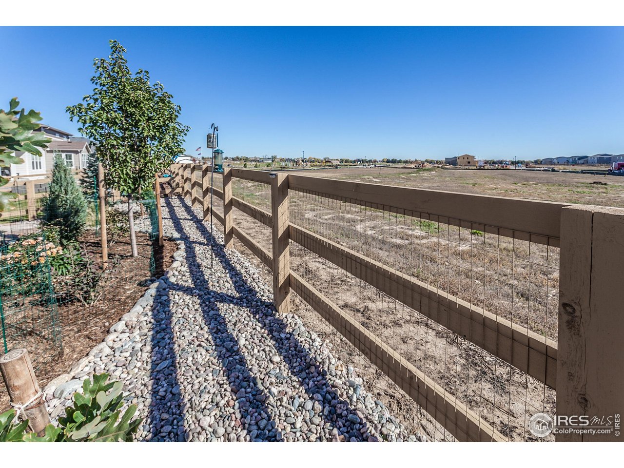 951 Rustling Street Windsor, CO 80550 - Photo 35 of 47 Fully fenced yard
