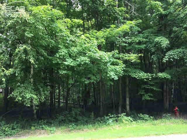 0 Downing Birch Run, MI 48415 - Photo 1 of 2