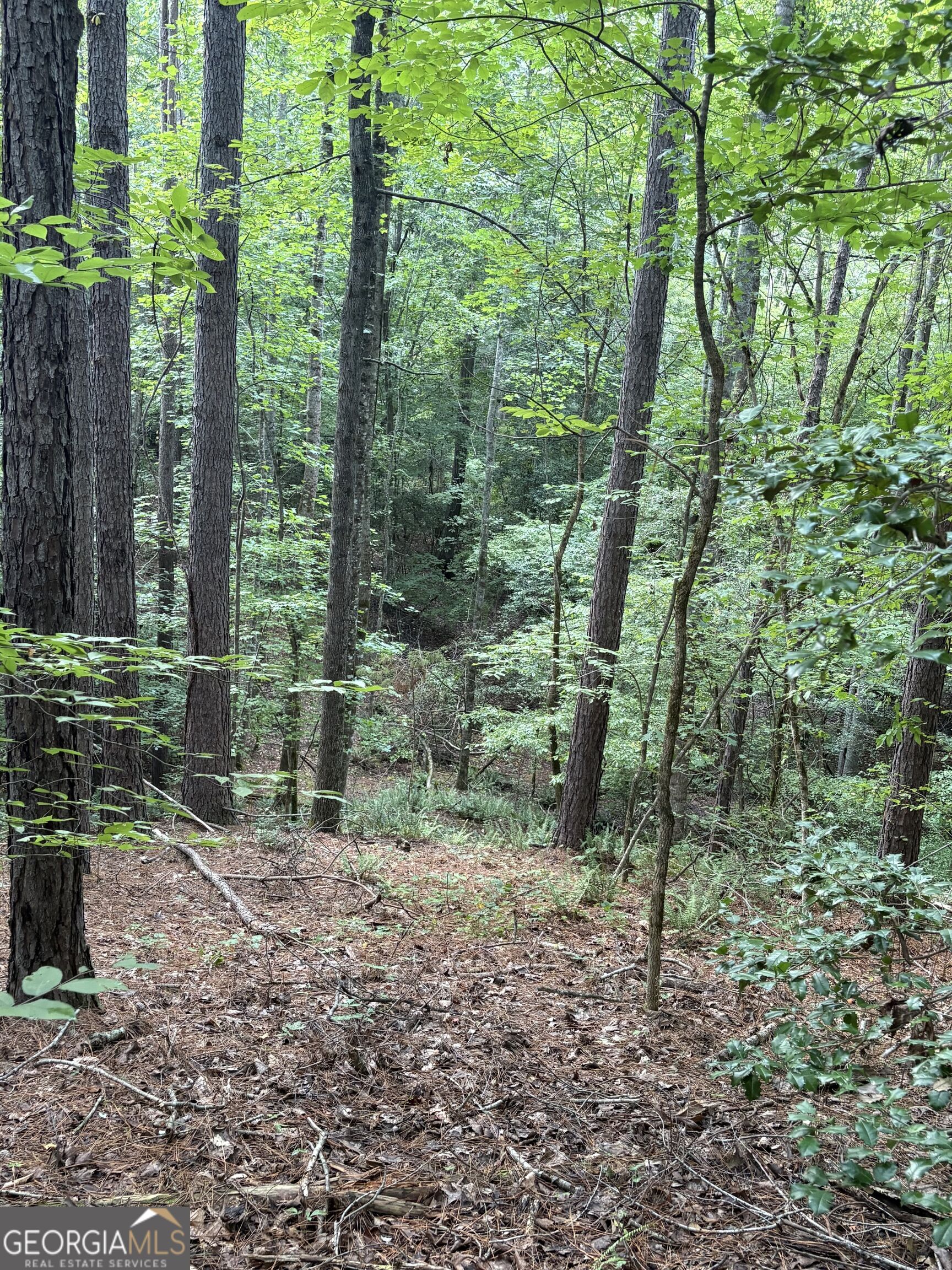 1208 Hornets Bridge Road Elberton, GA 30635 - Photo 21 of 23 Gallery Image 21