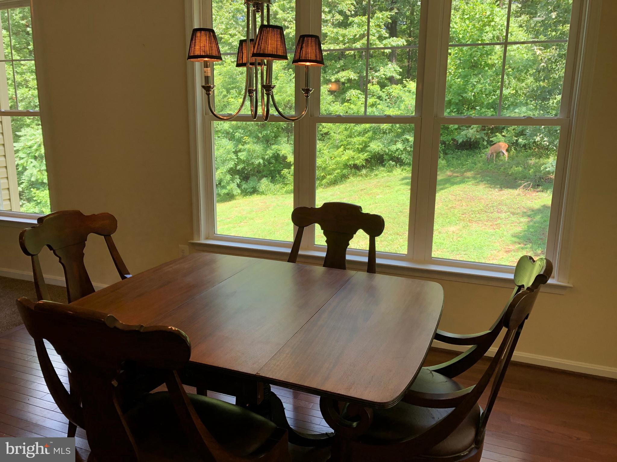 8292 Salem Ridge Road Marshall, VA 20115 - Photo 18 of 58 Gallery Image 18