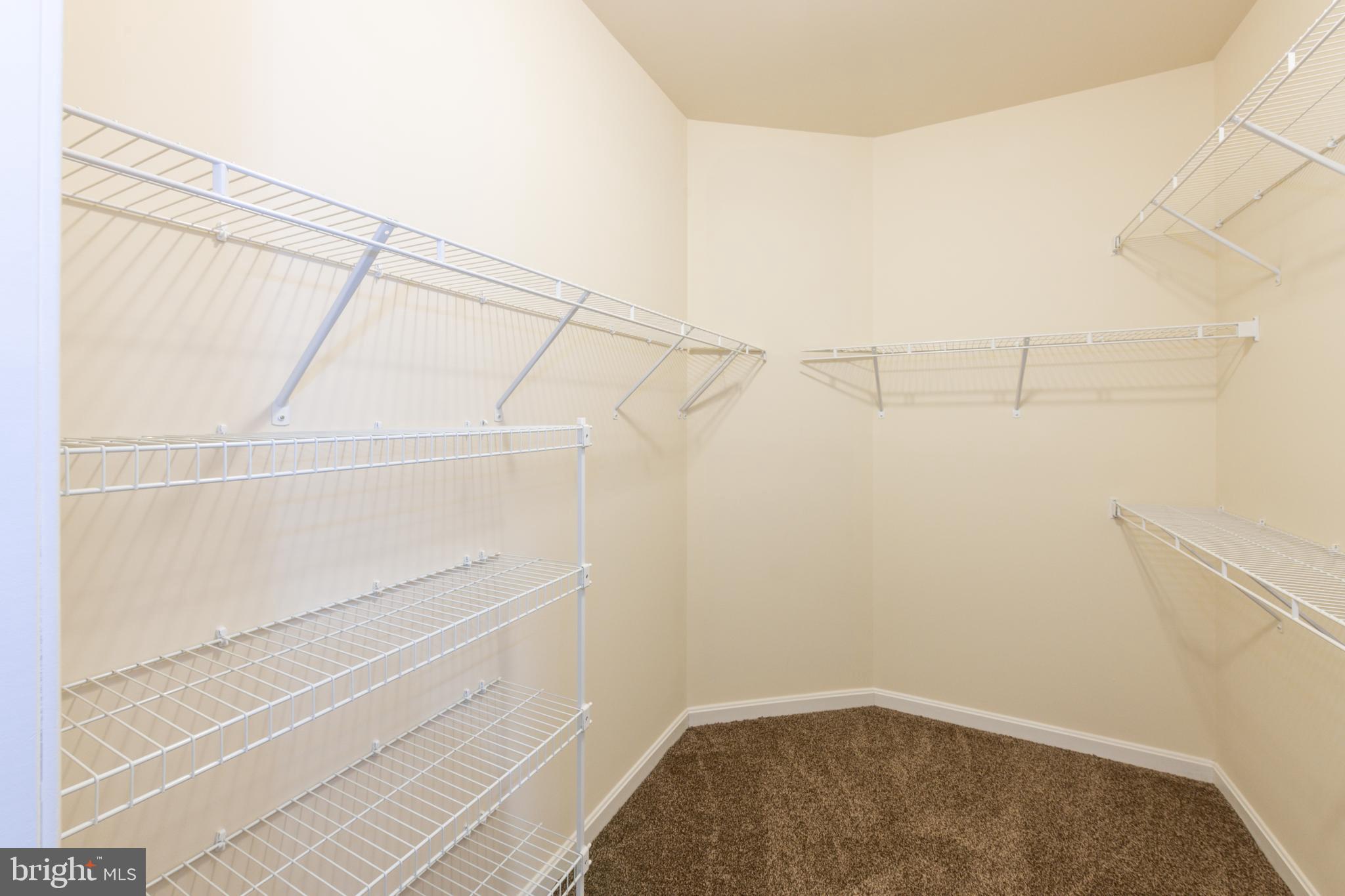 8292 Salem Ridge Road Marshall, VA 20115 - Photo 32 of 58 Gallery Image 32