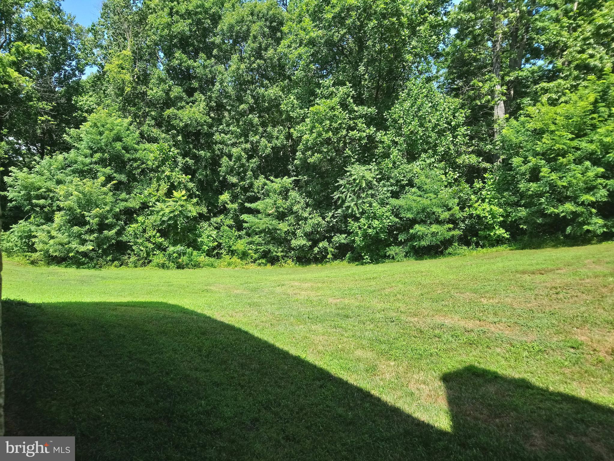 8292 Salem Ridge Road Marshall, VA 20115 - Photo 52 of 58 Gallery Image 52