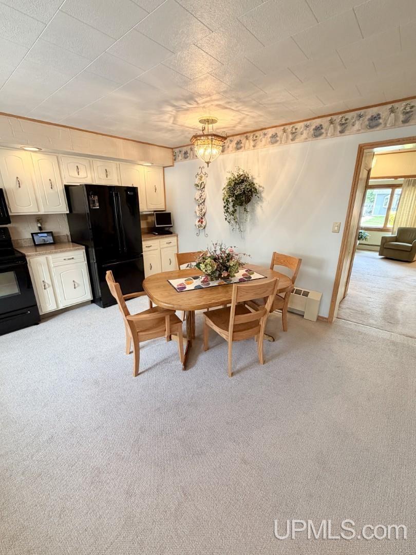 975 Cottage Street Ishpeming, MI 49849 - Photo 23 of 38