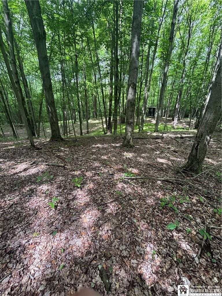 1471 Loomis Road Rexville, NY 14877 - Photo 29 of 50