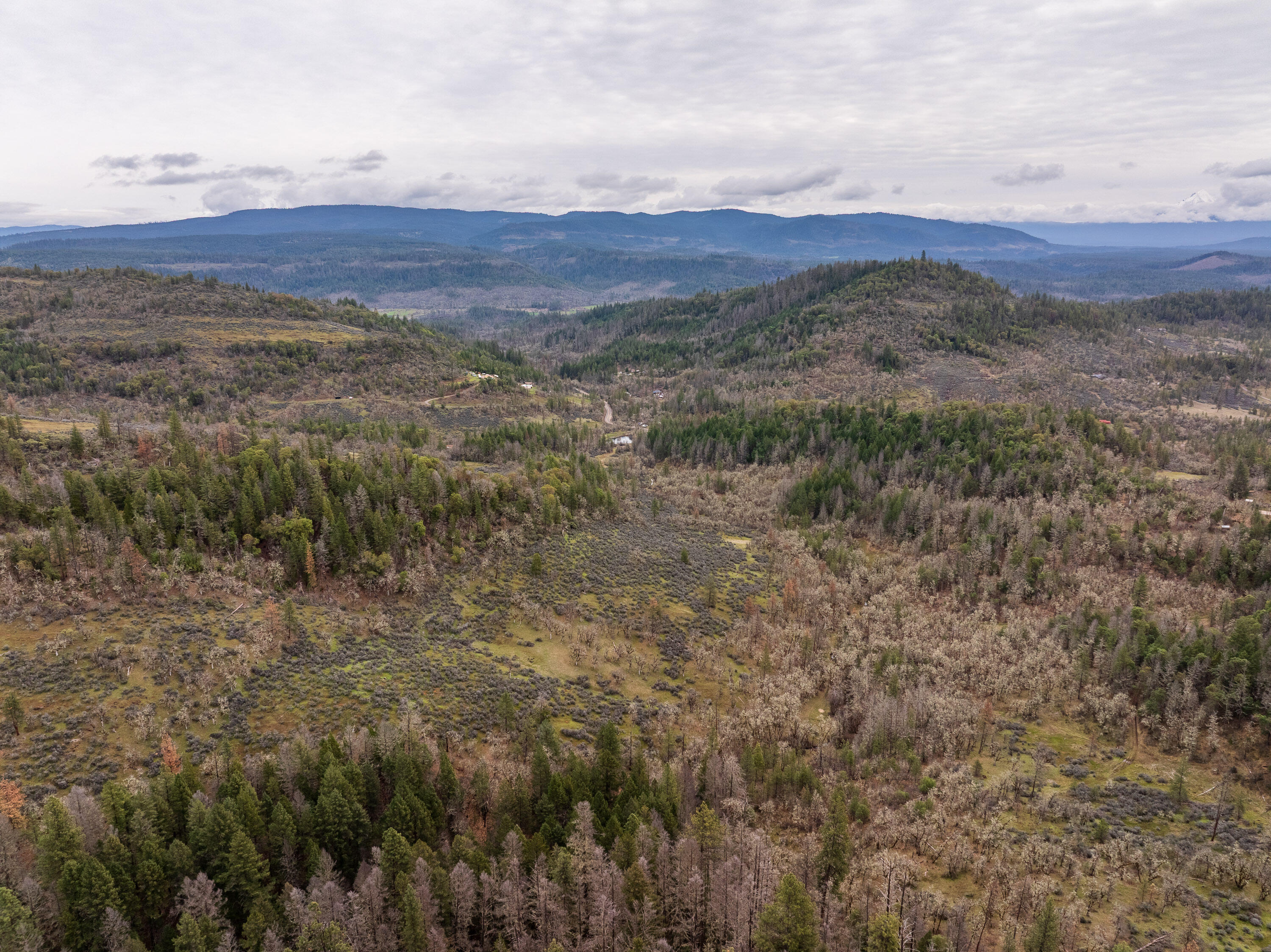2527 Crowfoot Road Eagle Point, OR 97524 - Photo 10 of 24 2527CrowfootRd-010