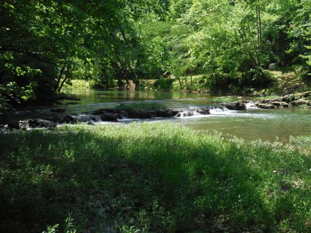 2259 Saunders Road Ringgold, GA 30736 - Photo 29 of 32 IMG-3908
