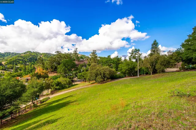 a view of a yard with an trees