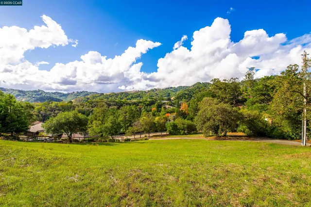 a view of a big yard with potted plants and large trees