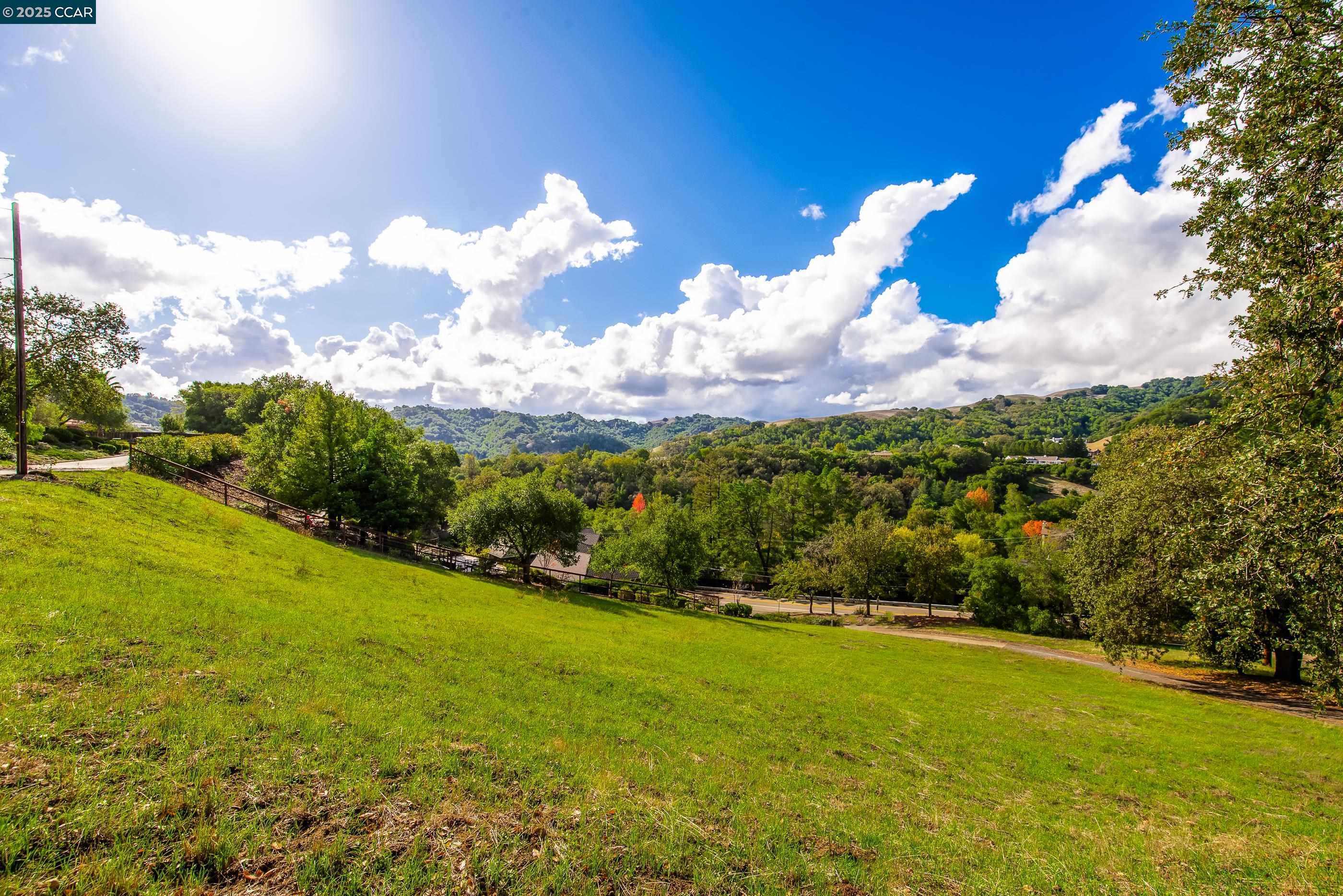 8 Gable Lane Lafayette, CA 94549 - Photo 8 of 10 a view of a big yard with potted plants and large trees