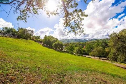 a view of a big yard with swimming pool and green space