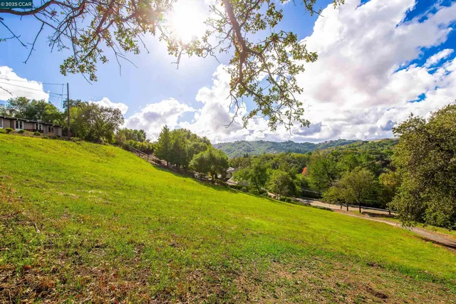 a view of a big yard with swimming pool and green space