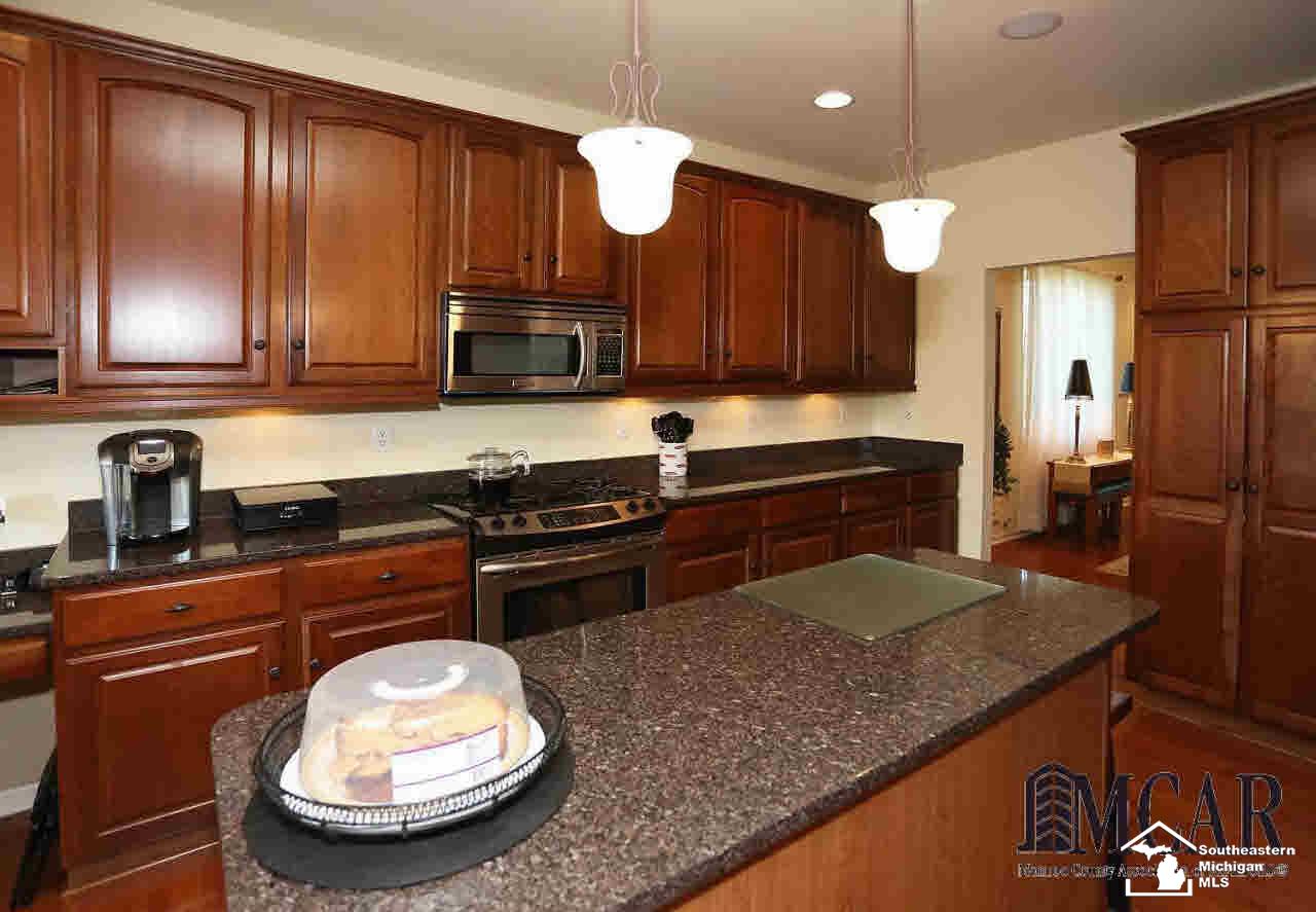 527 Ridge Point Drive Dundee, MI 48131 - Photo 6 of 38 Gallery Image 6