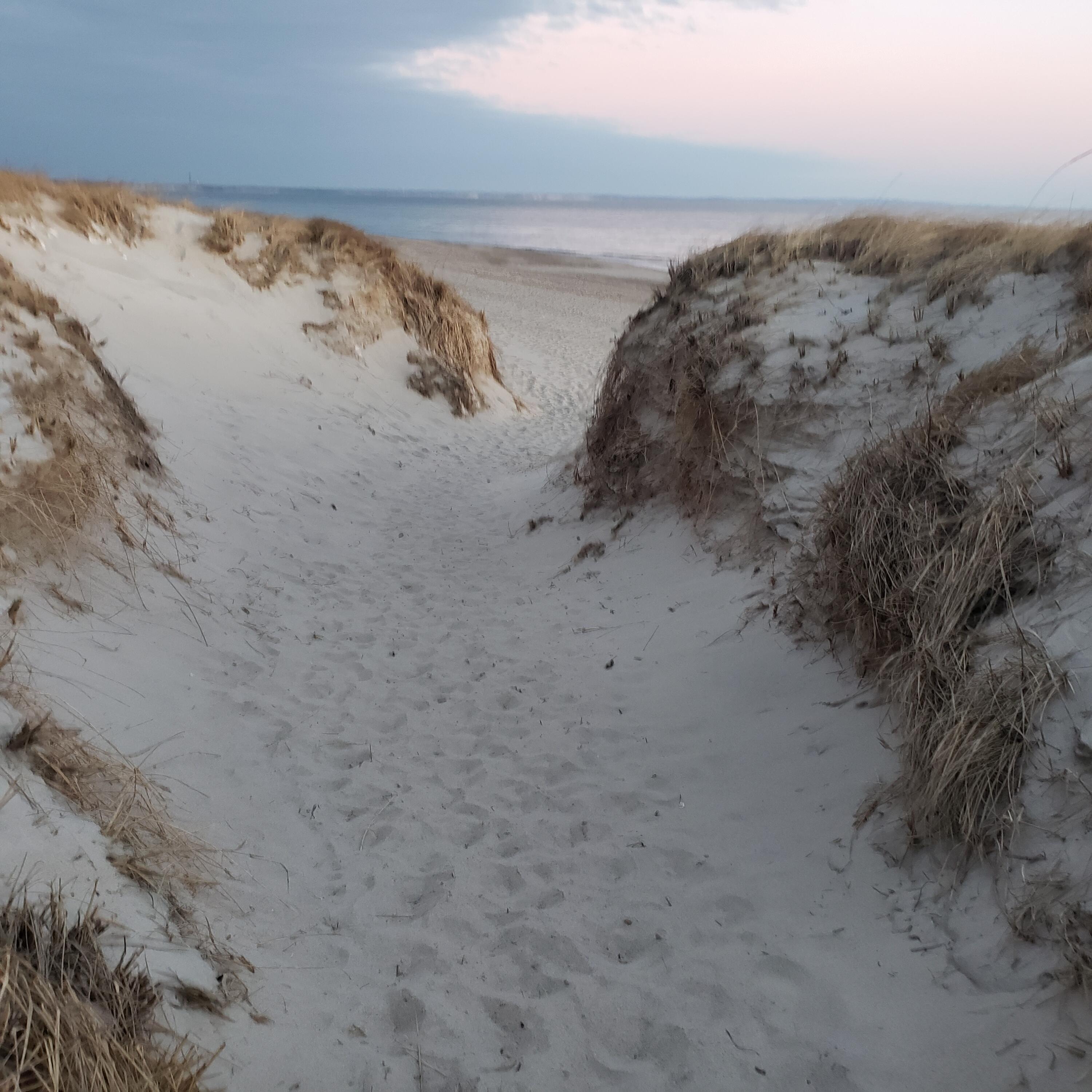 5 Fairfield Drive East Sandwich, MA 02537 - Photo 71 of 72 20220314_065107