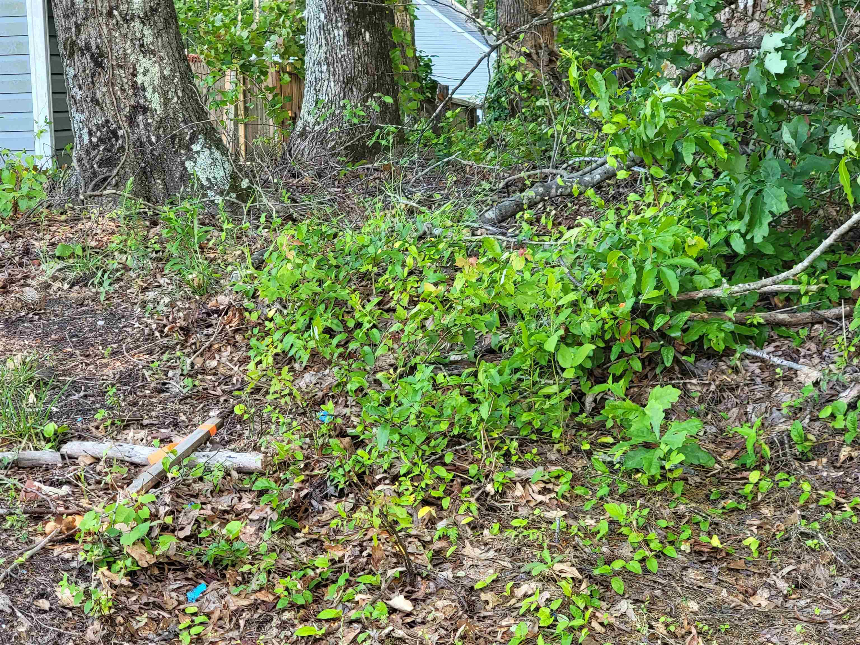 6400 Robertson Pond Road Wendell, NC 27591 - Photo 14 of 33 Photo 14