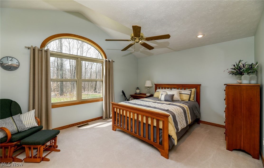 8675 Harris Road Lodi, OH 44254 - Photo 16 of 35 Gallery Image 16