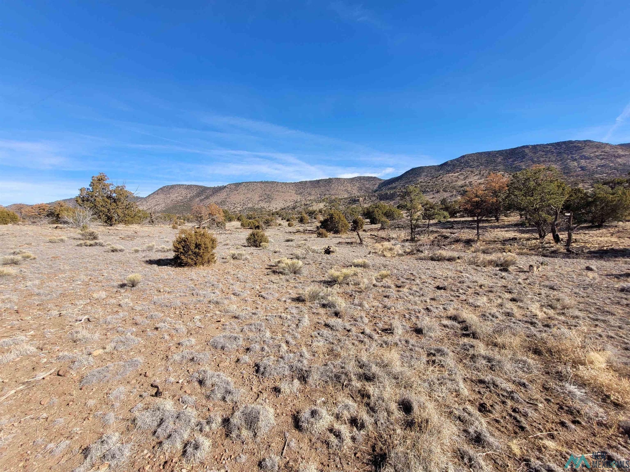 235 Sugarloaf Trail Datil, NM 87821 - Photo 9 of 48 Gallery Image 9