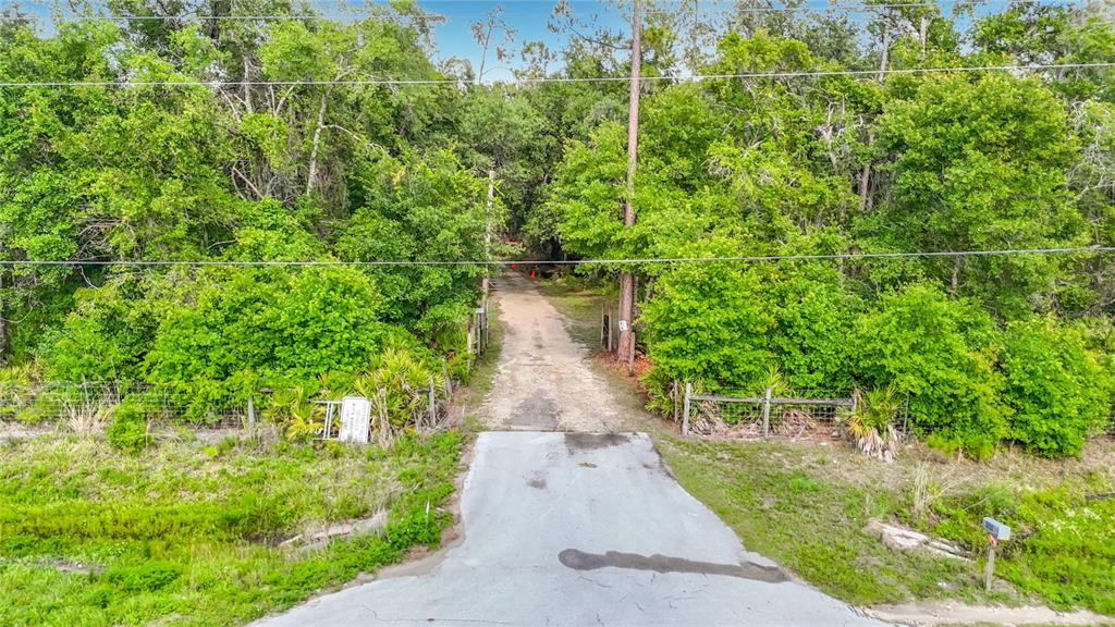 8338 Handcart Road Dade City, FL 33525 - Photo 27 of 96