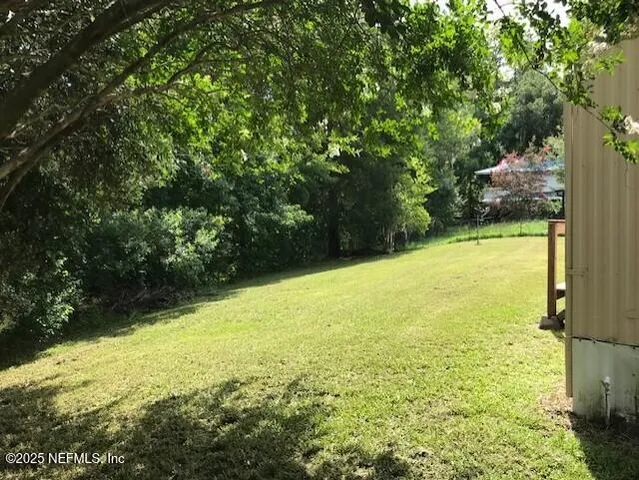 a view of a forest with trees in the background