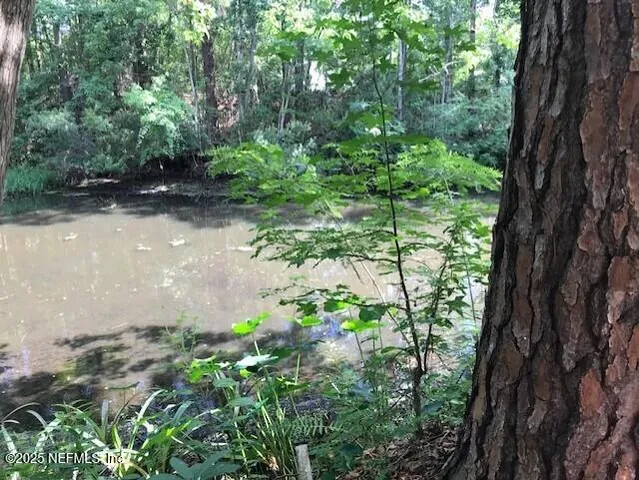 a view of a yard with a house and trees