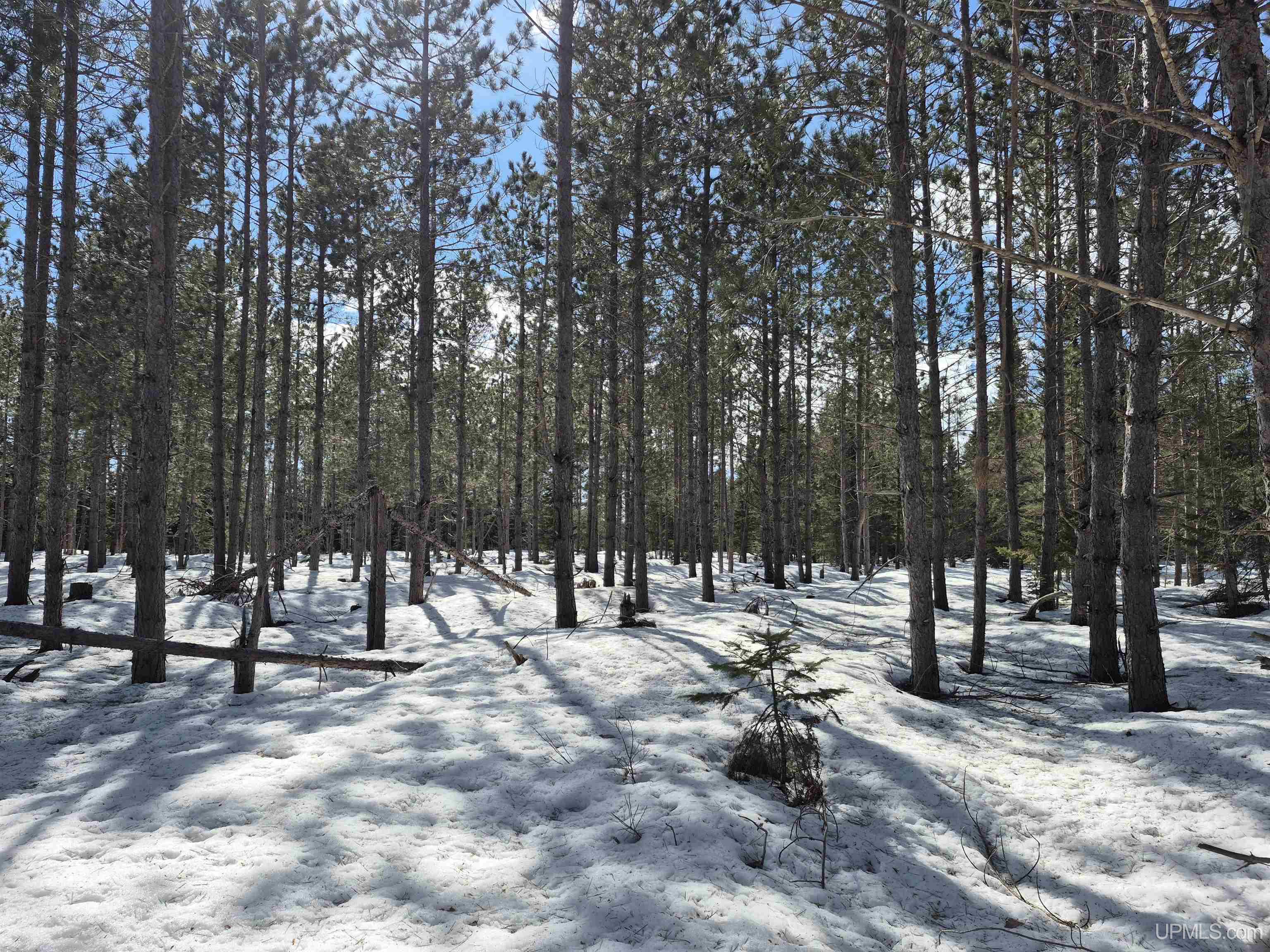 20-acres Off Flodin Road Manistique, MI 49854 - Photo 7 of 29