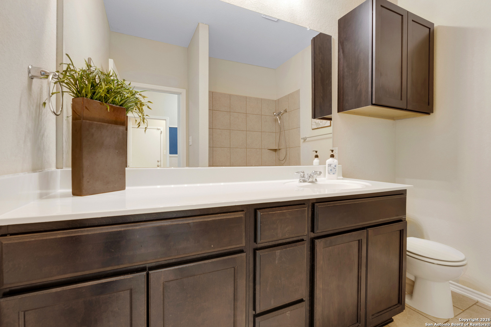 428 Kings Way Cibolo, TX 78108 - Photo 19 of 30 a bathroom with a sink a toilet and mirror